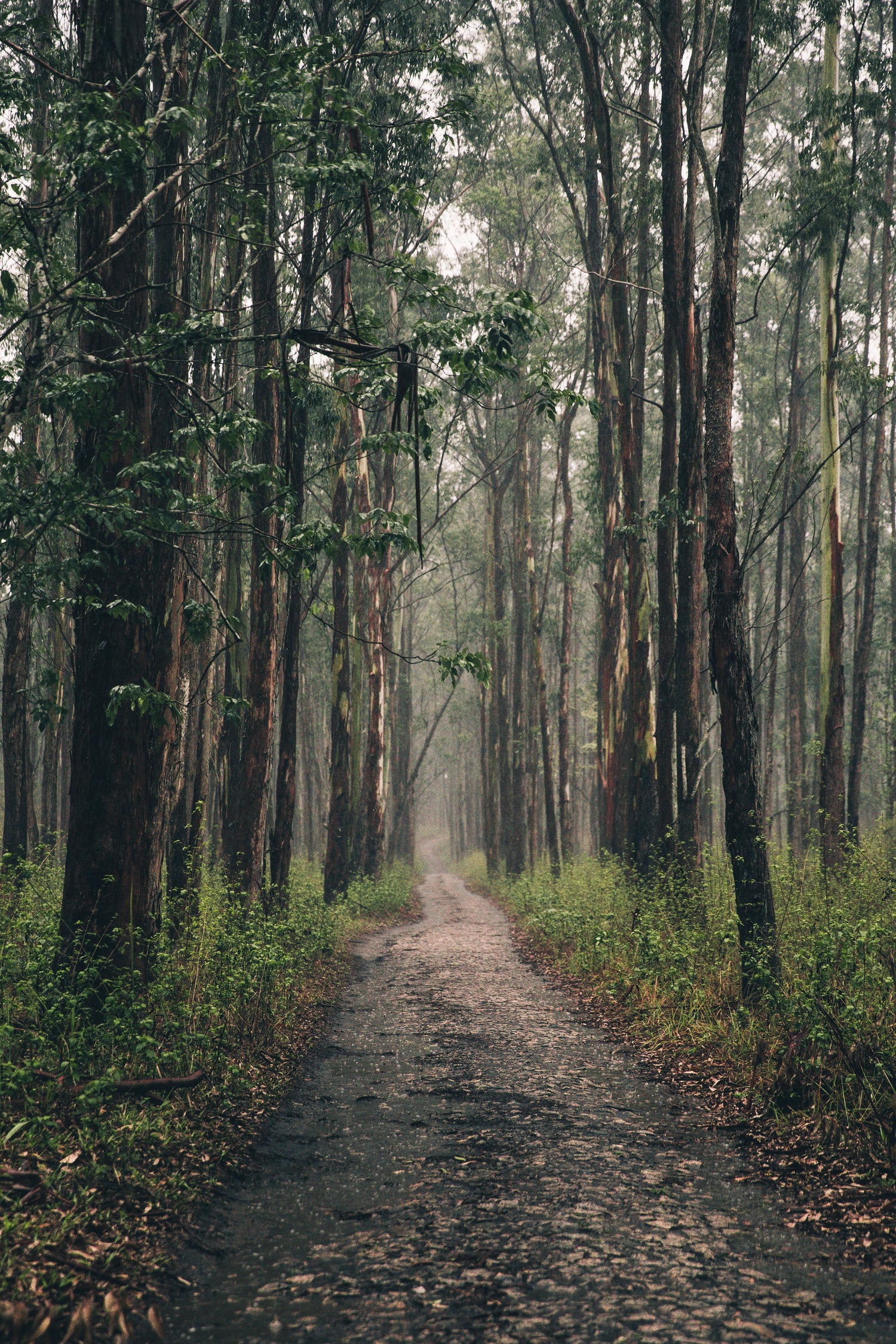 nature