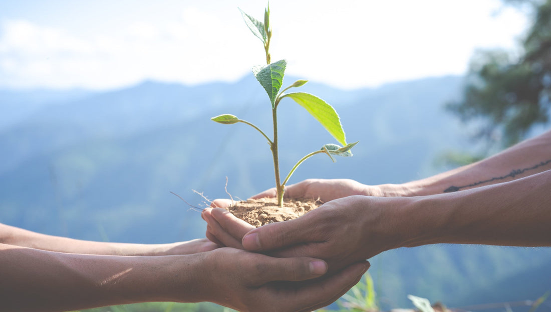 20 conseils simples à appliquer au quotidien pour réduire son impact environnemental - Lundigo